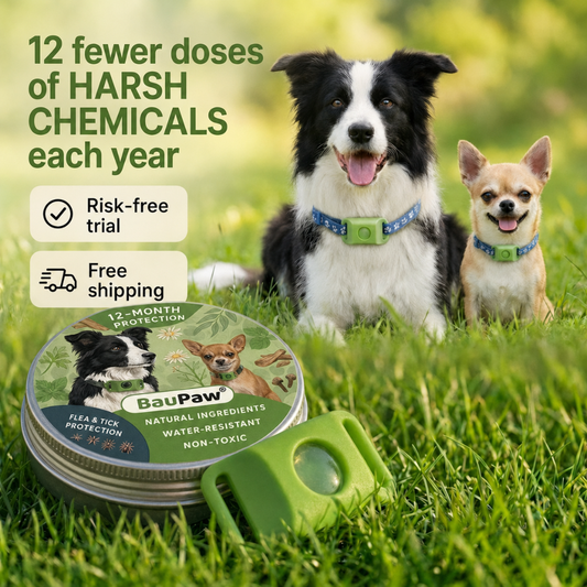 BauPaw  Pendant™ – 12 Months of Natural Protection for Dogs