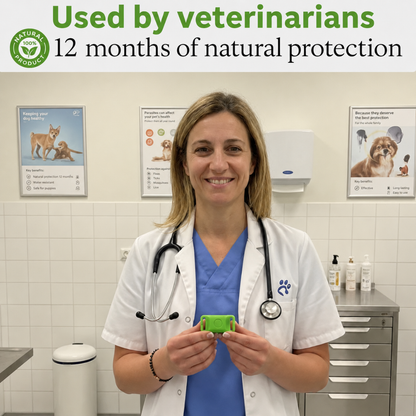 BauPaw  Pendant™ – 12 Months of Natural Protection for Dogs