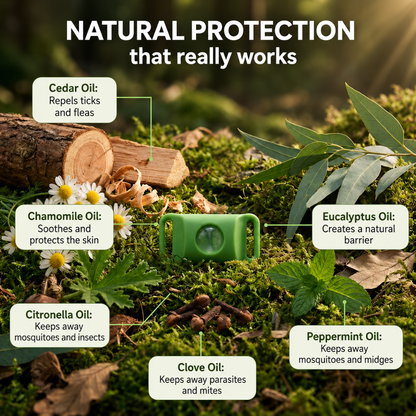 BauPaw  Pendant™ – 12 Months of Natural Protection for Dogs